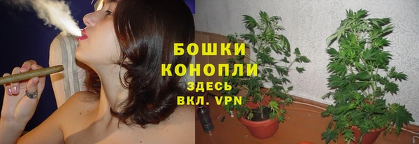 ALPHA PVP Белокуриха