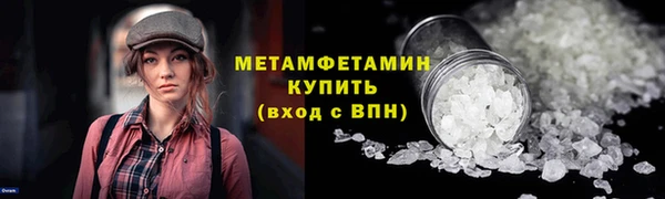прущие грибы Беломорск