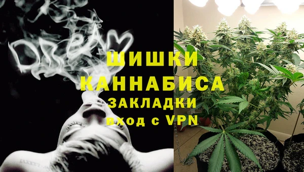 прущие грибы Беломорск