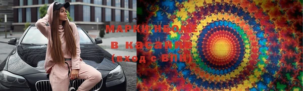 прущие грибы Беломорск