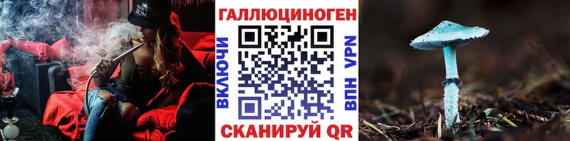 наркотики  Бердск  Галлюциногенные грибы Psilocybine cubensis 